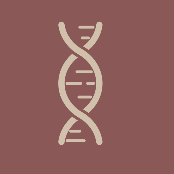 DNA <br> Services